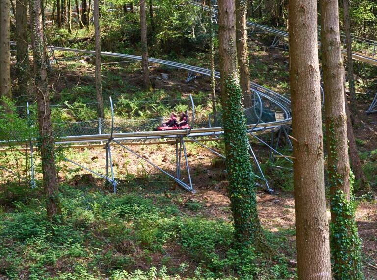 Two people on the Zip World Fforest Coaster.